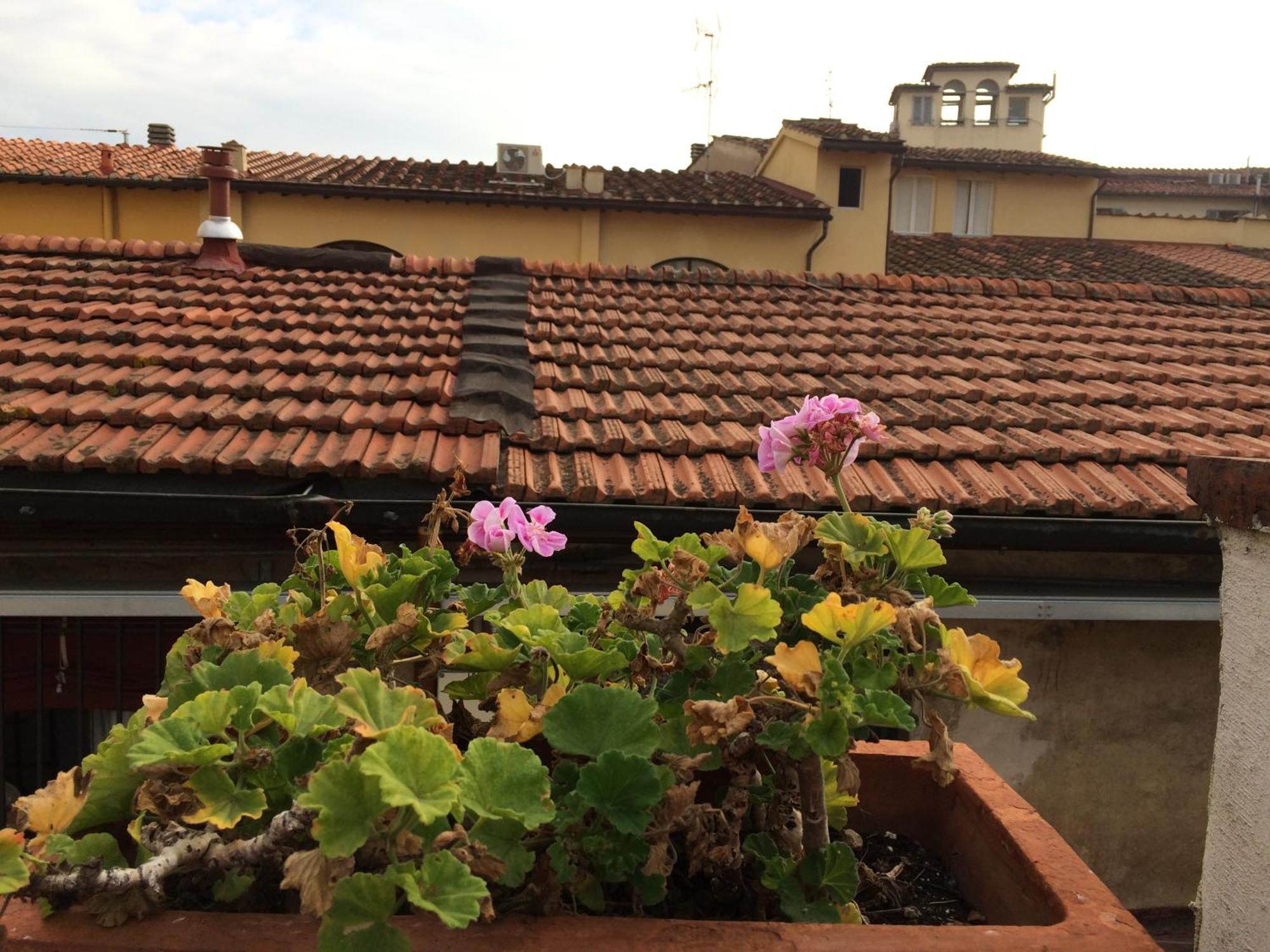 Hotel Il Bargellino Florence Exterior photo